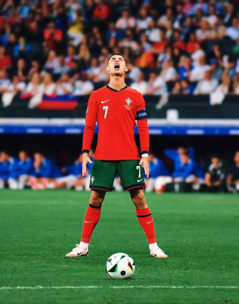 化的精髓 化的精髓