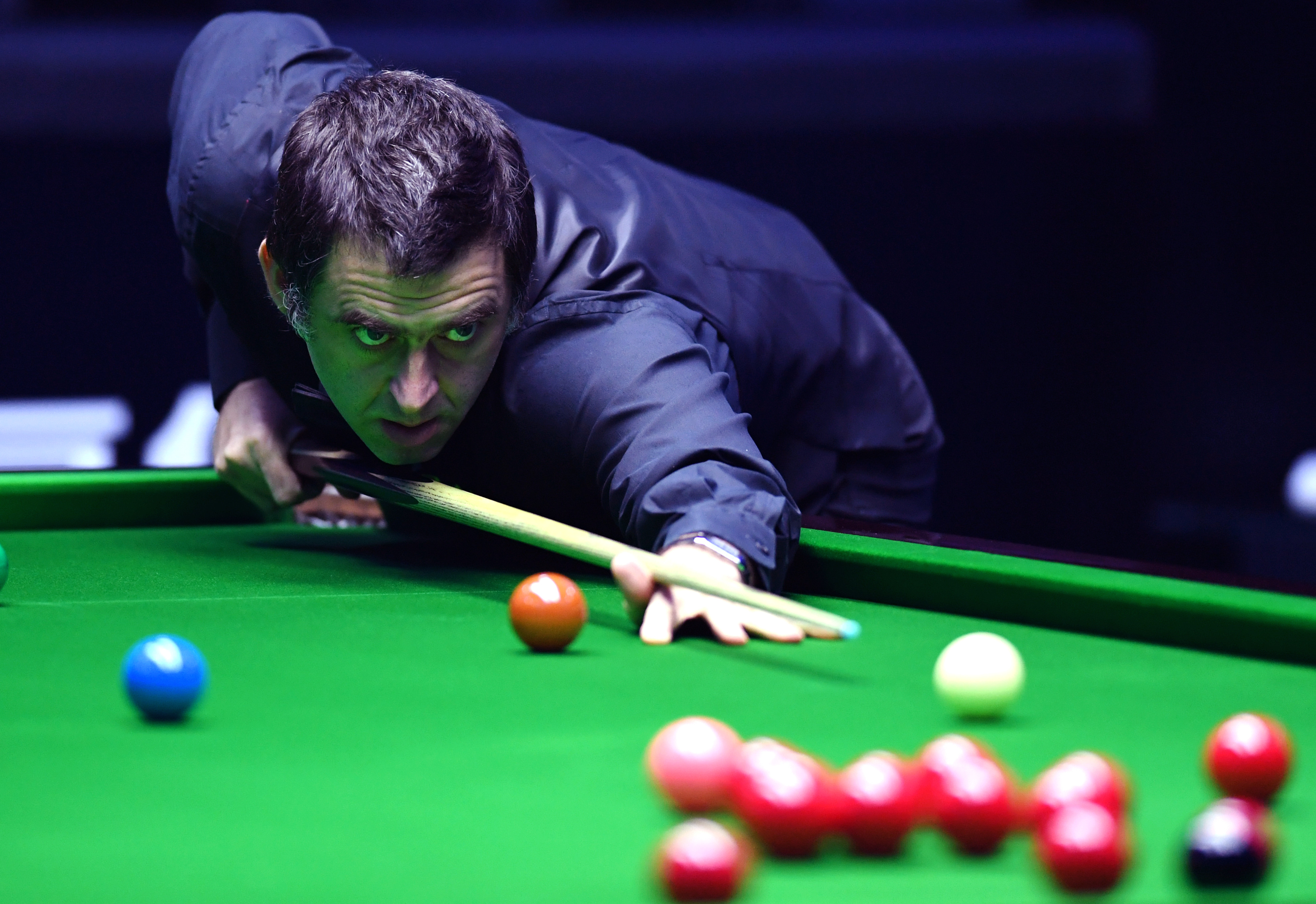 的灵活性 的灵活性